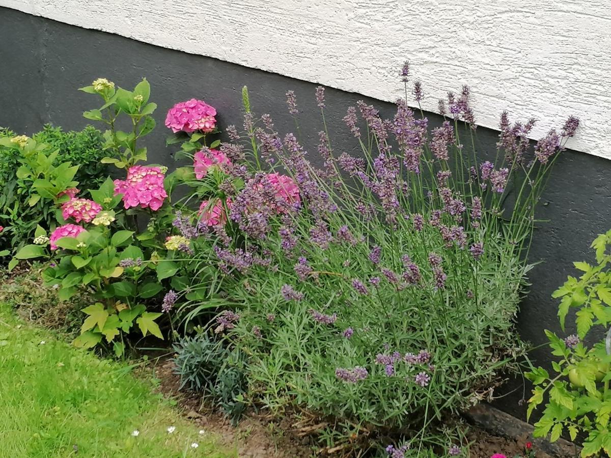 Ferienwohnung Einbeck Fewo B Nolte Extérieur photo